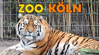 KÖLNER ZOO 2024