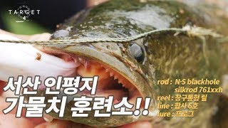 [타깃4] 54회_가물치 낚시 신병훈련소!!_서산 인평지 / snakehead fishing