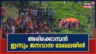 Mission Arikomban| അരിക്കൊമ്പൻ ഇന്നും ജനവാസ മേഖലയിൽ ; ആനയെ പിടികൂടാത്തതിൽ പ്രതിഷേധം തുടരുന്നു