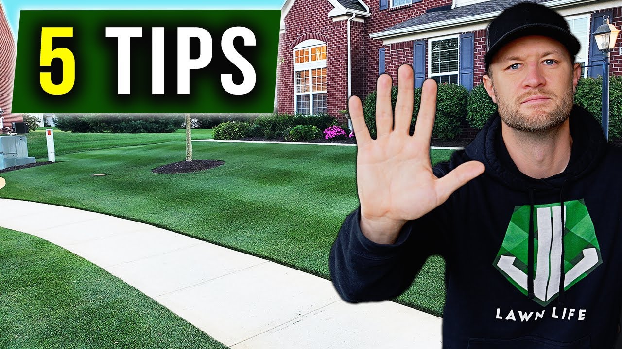 Lawn Care For Dummies 5 Secrets To A Perfect American Lawn