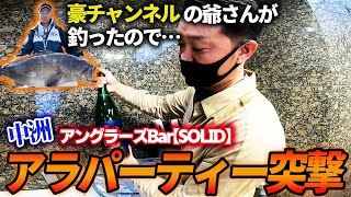 【夜の中洲に突撃！】２０Kgのアラ（クエ）を食べ尽くす！！知る人ぞ知るアングラーズBAR SOLID（ソリッド）へ豪チャンネルや釣神様達が大集合で大盛り上がり。