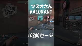 セージの壁の使い方が天才すぎた【VALORANT】#shorts