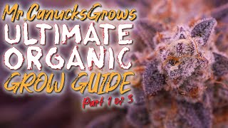 EASIEST WAY TO GROW ORGANIC WEED FROM START TO FINISH | SUPERSOIL! part 1 of 3