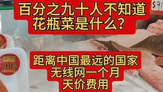 90%的人不知道花瓶菜是什么?距离中国最远的国家无线网一个月天价费用! #海外生活 #阿根廷