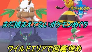 ポケットモンスター　ソード＆シールド #４４　【ポケモン剣盾　ソード版】 ガラル図鑑埋め ワイルドエリアでポケモンさがし kazuboのゲーム実況