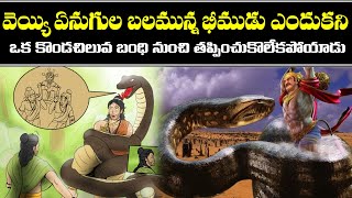 వెయ్యి ఏనుగుల బలమున్న భీముడు ఎందుకని ఒక కొండచిలువ బంధి నుంచి తప్పించుకొలేకపోయాడు #onlybhakti