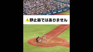 【殿堂入り確実】坂本勇人の無駄のないスイング  #shorts