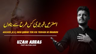 Asghar(a.s) Mein Qabr Teri Kis Tarhan Se Banaown | Uzair Abbas | New Noha 2020