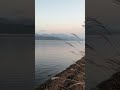 山中湖 lake yamanakako shorts 3 富士山 mt. fuji 2023 11 6