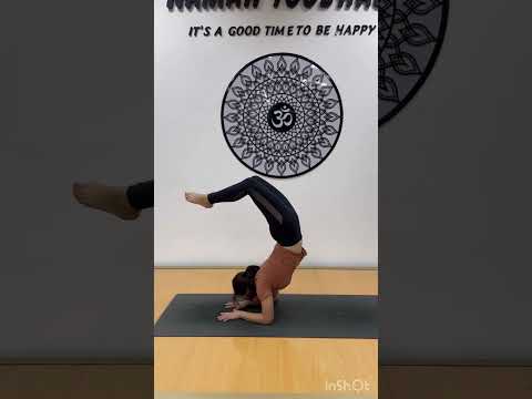 Scorpion Pose || Vrischikasana Step By Step For Bigginers - YouTube