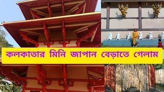 কলকাতার মধ্যে জাপানের সাধ উপভোগ করতে জাপানি ফরেস্ট চলে গেলাম@Ancyfamilyvlog