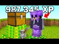 Why I Secretly Duped 2,063,798 XP in this Minecraft SMP...