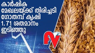 കാര്‍ഷിക മേഖലയ്ക്ക് തിരിച്ചടി, ഗോതമ്പ് കൃഷി 1.71 ശതമാനം ഇടിഞ്ഞതായി കാര്‍ഷിക മന്ത്രാലയം l Wheat