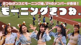 【モーニングきつね。】きつねダンスにモーニング娘。'24のメンバーが登場！【キレキレ】