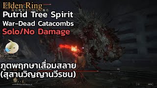Elden Ring : Putrid Tree Spirit(war-Dead Catacombs) Solo//No Damage ภูตพฤกษาเสื่อมสลาย