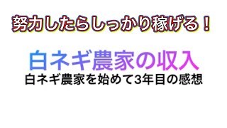 【収入について】新規就農3年目。白ネギ農家の収入についてざっくりお伝えします。