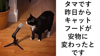 殿堂入りボケてがツッコミどころ満載だったwww406