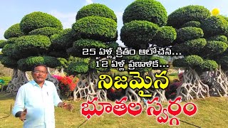 25 ఏళ్ల ఆలోచన..12 ఏళ్ల ప్రణాళిక.. నిజమైన భూతల స్వర్గం..|| Sagevideos || Sage tv..