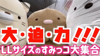 【超ド級】品薄必至＆大迫力のすみっコぐらしぬいぐるみLLサイズが大集合しました！