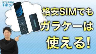 実際のガラケーを使って格安SIMの設定方法を解説します！ガラケーにおすすめの格安SIMも紹介！