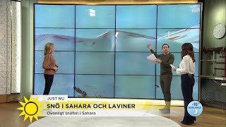 Ovanligt snöfall i Sahara - så här ser det ut - Nyhetsmorgon (TV4)