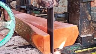 sawmill proses penggergajian kayu mahoni bahan pintu mahogany wood cutting.woodworking