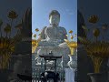 gigant buddha hidden gem in japan 日本三大大仏！住宅街の中の荘厳な大仏