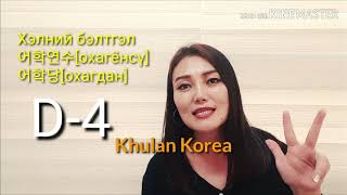 Солонгос хэл #54 Визний ангилалын талаар | KHULAN korea