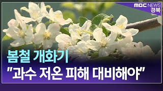 R)봄철 개화기 \