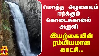 மொத்த அழகையும் ஈர்க்கும் கொடைக்கானல் அருவி - இயற்கையின் ரம்மியமான காட்சி..