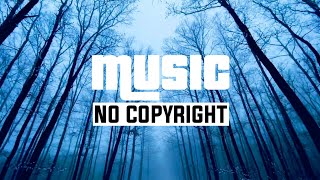 NIVIRO - The Ghost [NCS] Music No Copyright | free to use