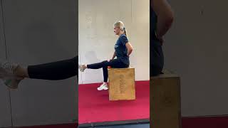 LAX Ball Smash Hamstring Mobility (Knee Extension)