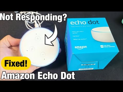 How to Fix Alexa Not Responding