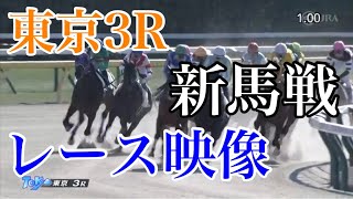 2/5 東京3R 新馬戦 レース映像