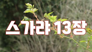 스가랴 13장