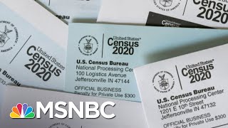 Voting Rights Expert Says Early End To Census Count Could Be ‘Disastrous’ | The Last Word | MSNBC