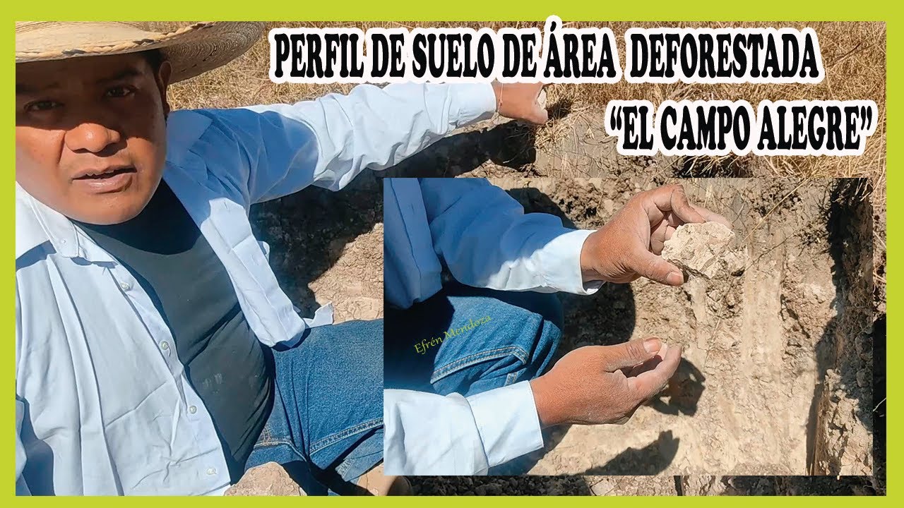 Perfil De Suelo De área Deforestada "El Campo Alegre"/Efrén Mendoza ...