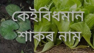 কেইবিধমান শাকৰ নাম