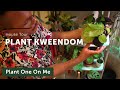 Plants for Small Apartments: Houseplant Home Tour with Plant Kween — Ep 127