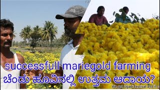 Successfull Mariegold farming.ಚೆಂಡು ಹೂವಿನ ಕೃಷಿ ಉತ್ತಮ ಆದಾಯ ಗಳಿಸಬಹುದು ?