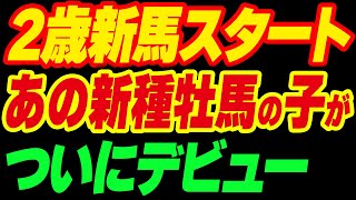 2歳新馬戦がスタート！あの新種牡馬の子がついにデビュー