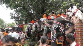 Jay Jagannath Rath Yatra Ahmedabad 2022 Elefant View