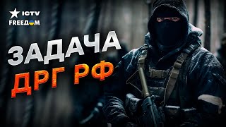 ВОТ почему АКТИВИЗИРОВАЛИСЬ ДРГ РФ в Сумской области 😱