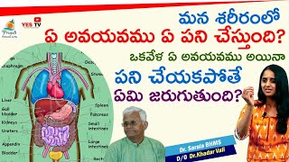 మన శరీరంలో ఏ అవయవము ఏ పని చేస్తుంది? ఒకవేళ ఏ అవయవము అయినా పని చేయకపోతే ఏమి జరుగుతుంది?