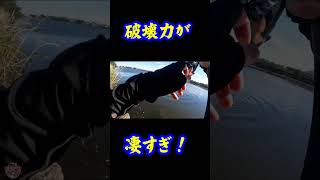 破壊力・・・凄すぎ・・！【興奮映像】#shorts