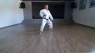 Kihon Combinations, Suriashi, Randori- Goju Ryu Karate- Moshe Halevi