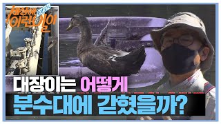 오리 ‘대장이’는 어떻게 분수대에 갇힌 걸까?ㅣ순간포착 세상에 이런 일이(Instant Capture)ㅣSBS Story