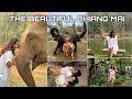 Thailand pt.3 | Elephant Sanctuary | Northern Thailand - Chiang mai | Ft. Xtenso Care Range | Vlog