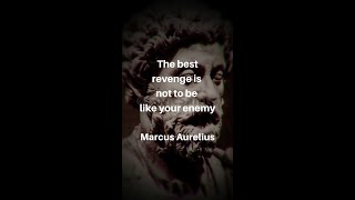 THE BEST REVENGE - Stoic Quote - Marcus Aurelius #shorts