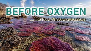 Before Cyanobacteria the First Photosynthesizers